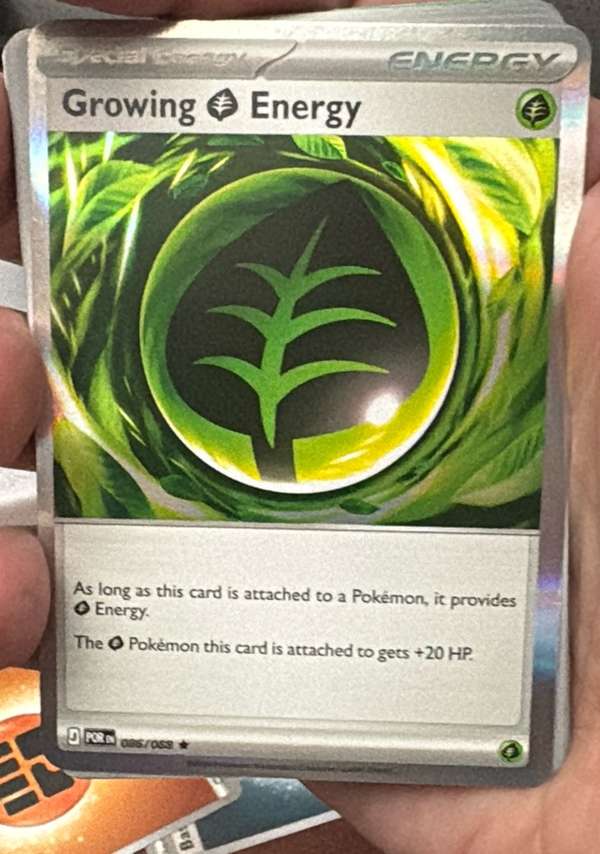 Growing Grass Energy
