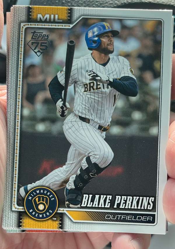 Blake Perkins