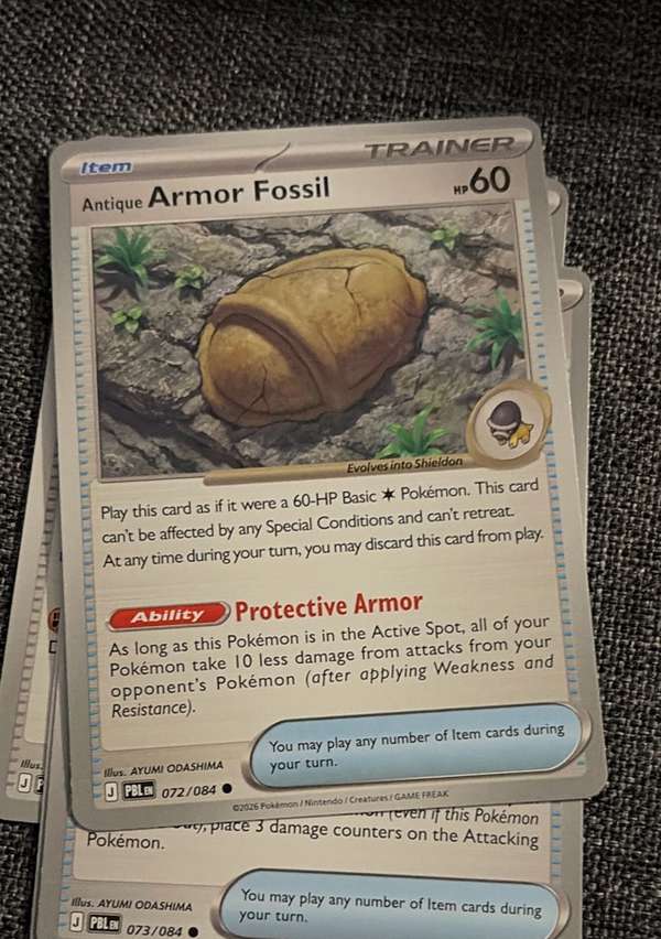 Antique Jaw Fossil
