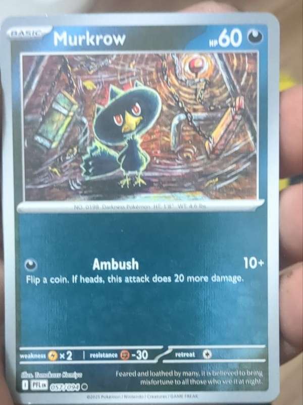 Murkrow