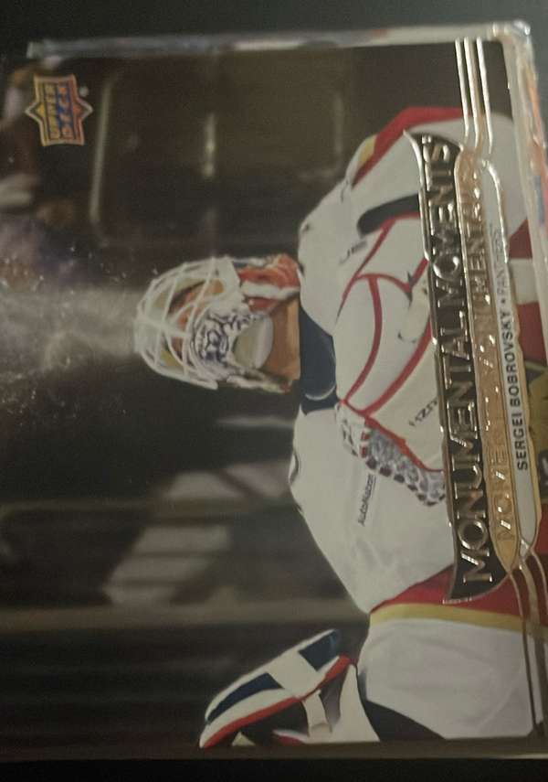 Sergei Bobrovsky