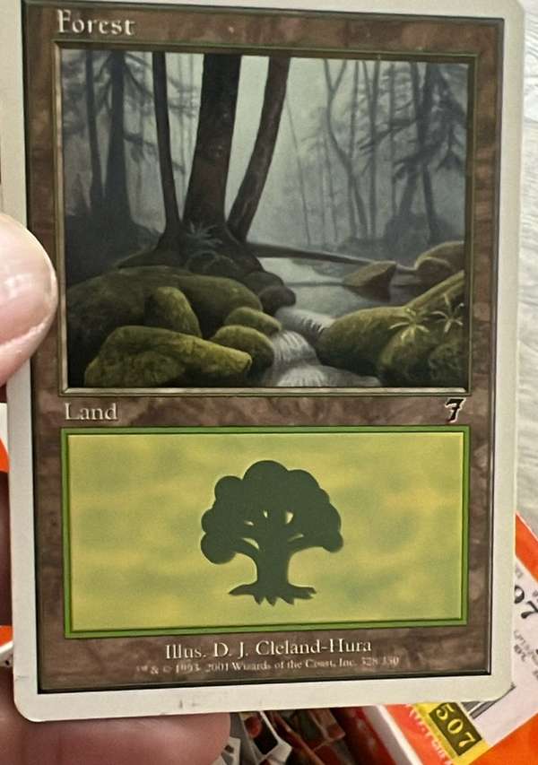 Forest (CS Alternate Art) (212s)