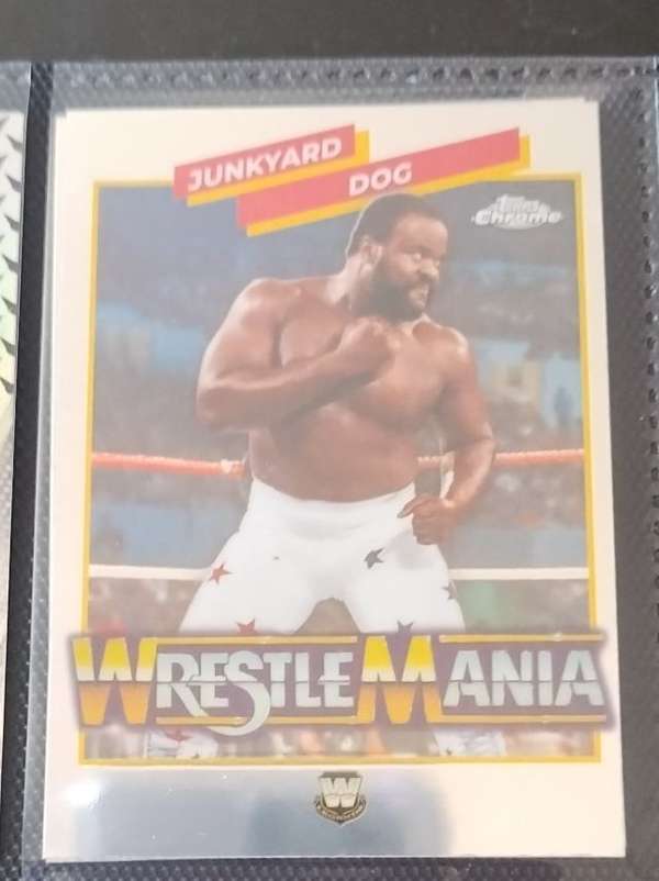 Junkyard Dog