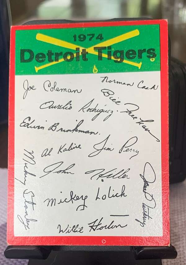 Detroit Tigers