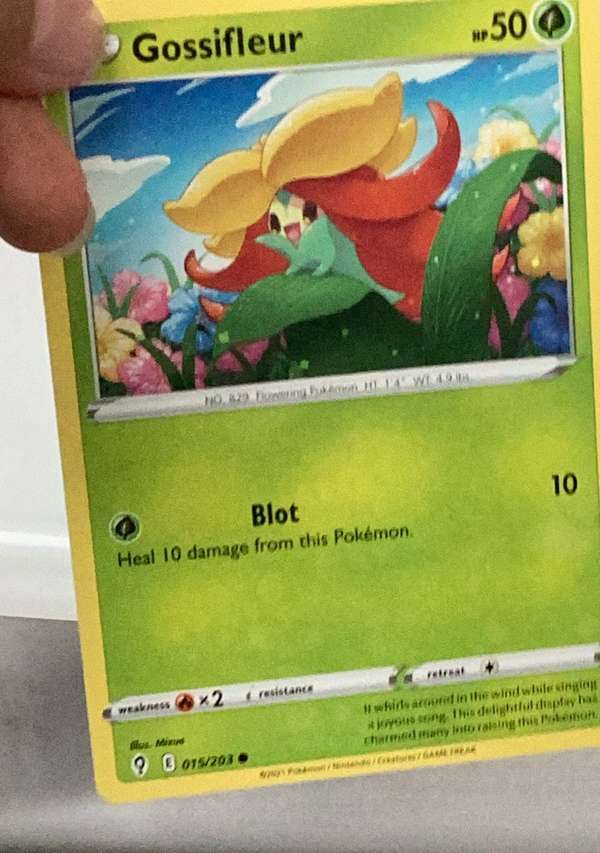 Gossifleur