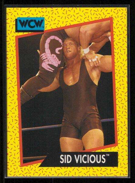 #26 Sid Vicious