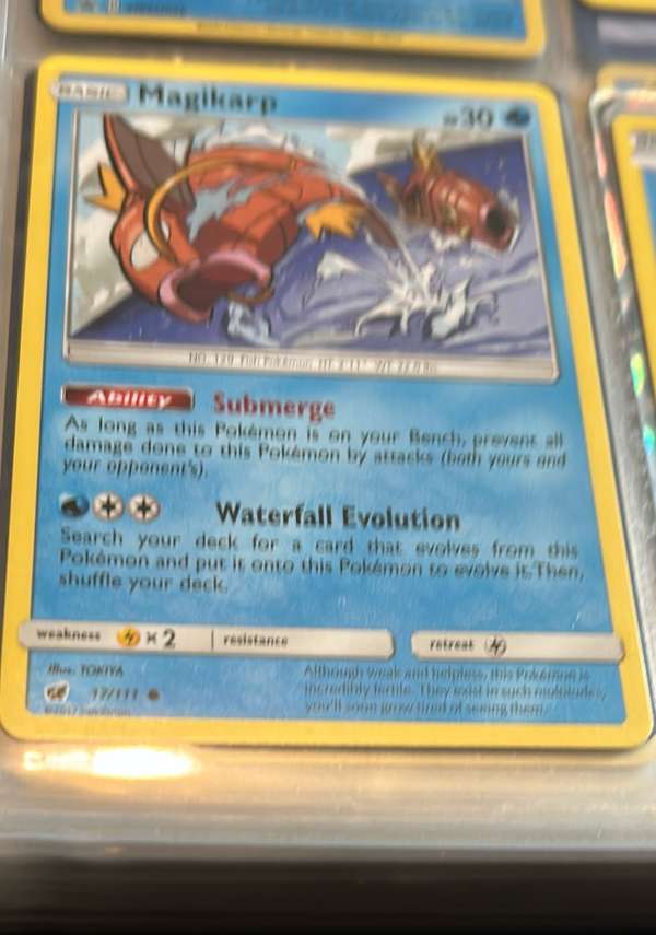 Magikarp
