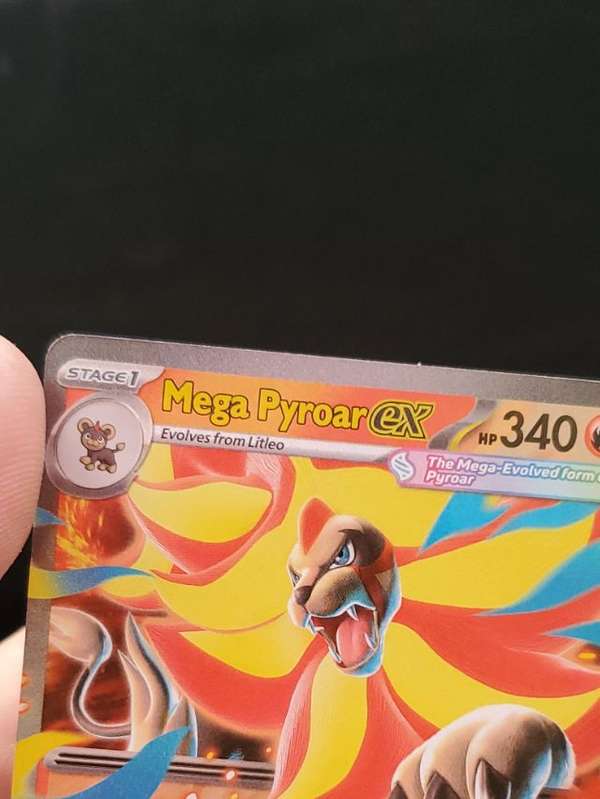Mega Pyroar ex
