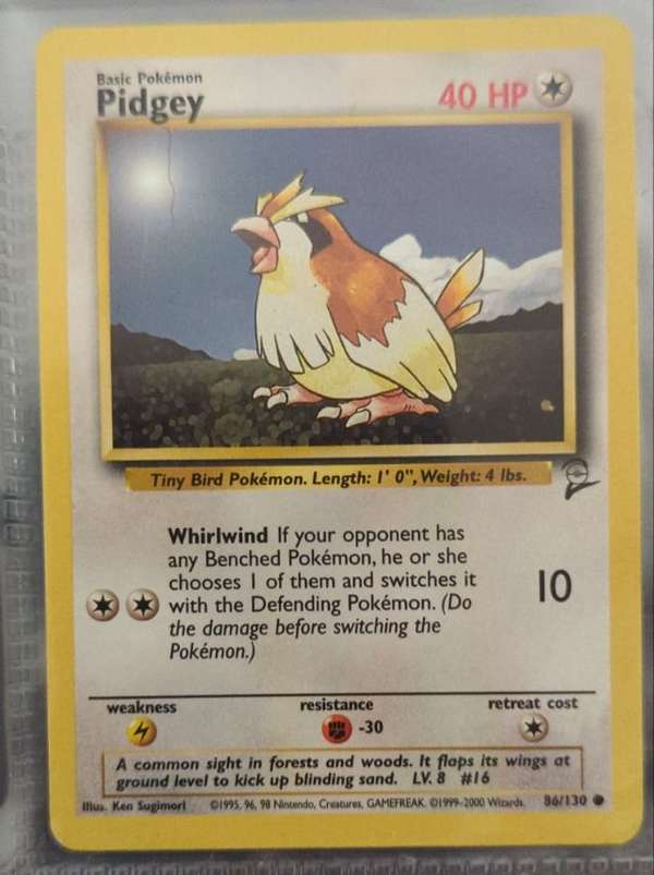 Pidgey