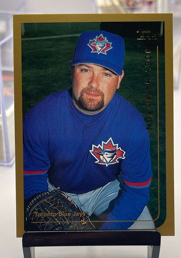 Joey Hamilton