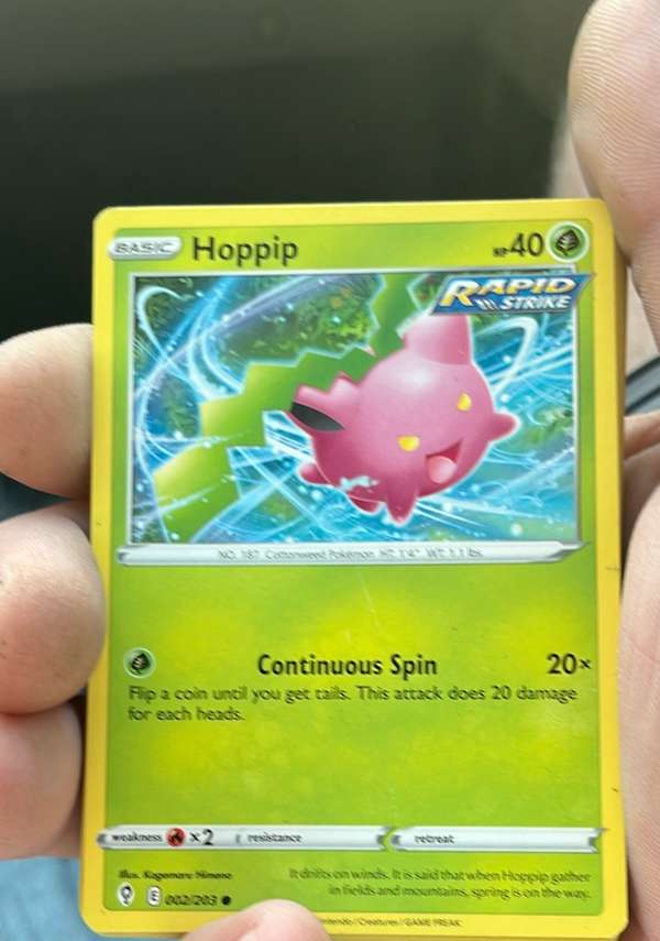 Hoppip