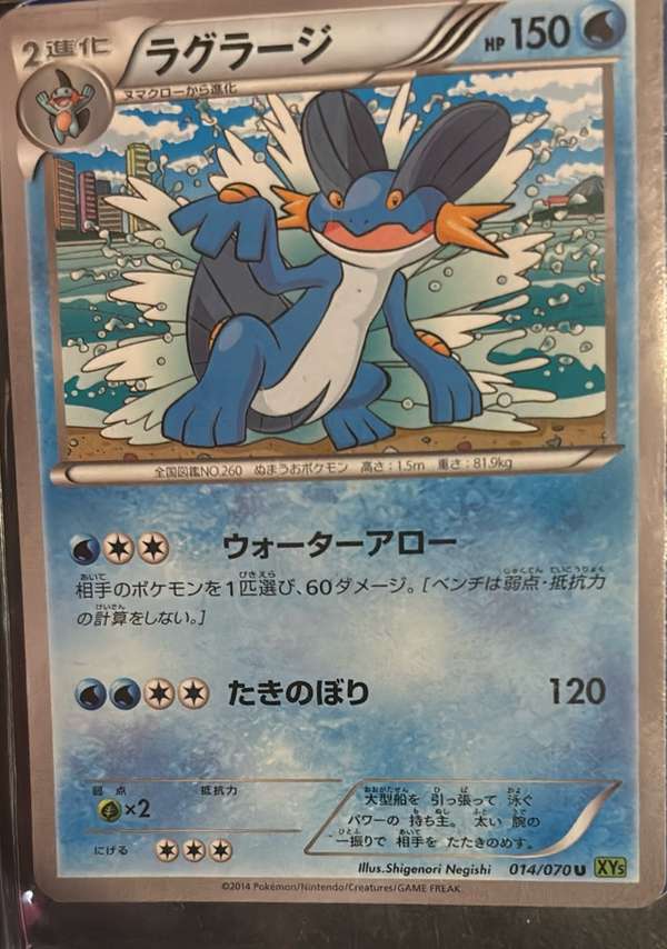 Swampert