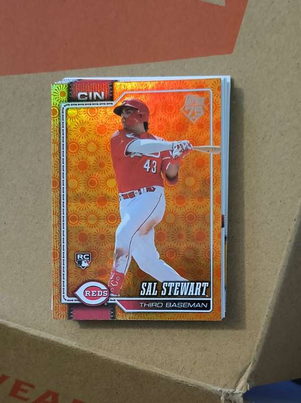 Sal Stewart