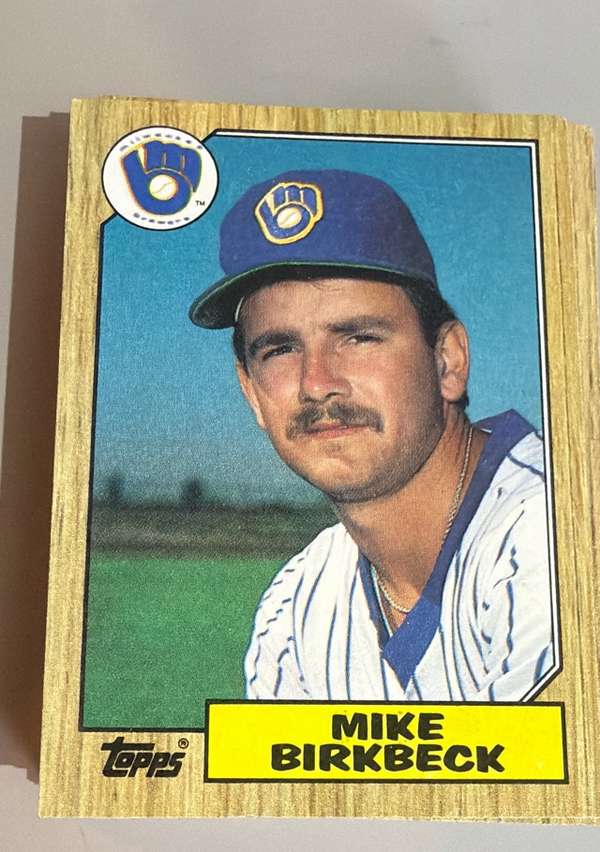 Mike Birkbeck
