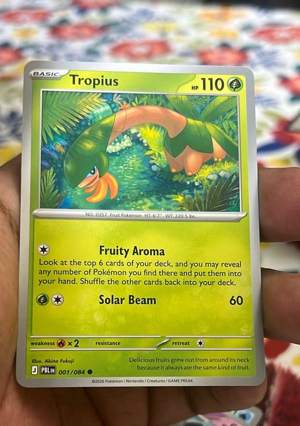 Tropius