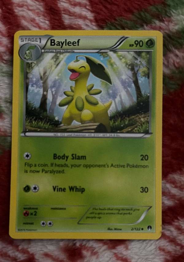 Bayleef