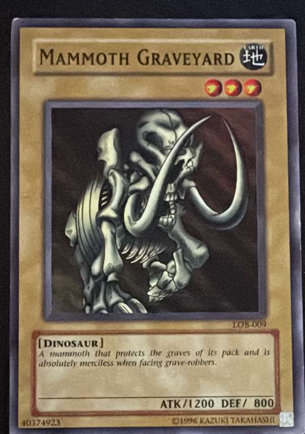 Mammoth Graveyard