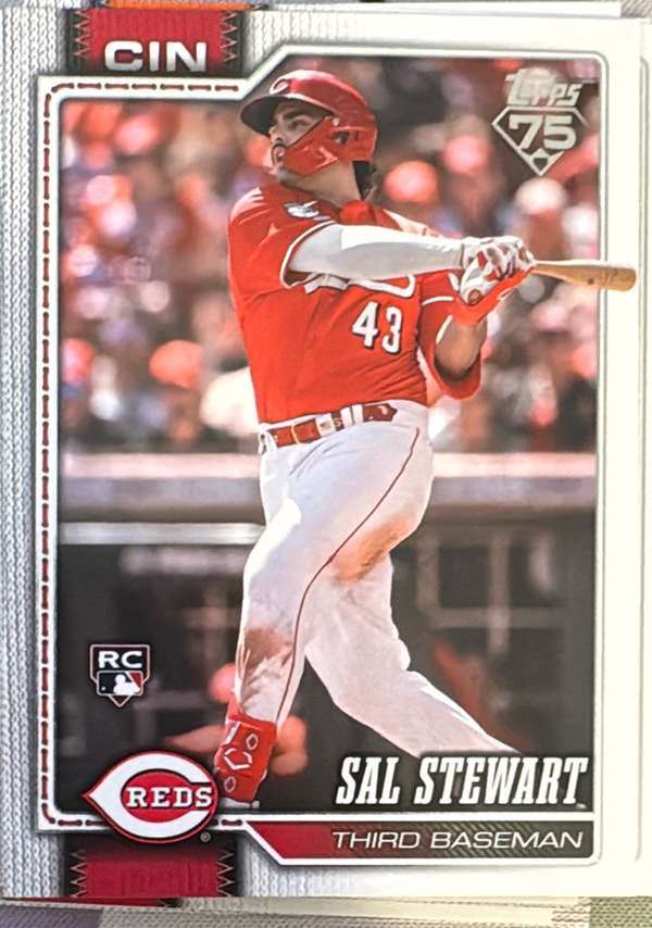 Sal Stewart