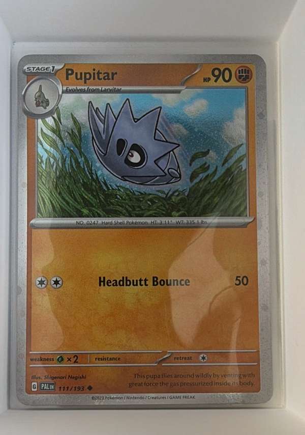 Pupitar