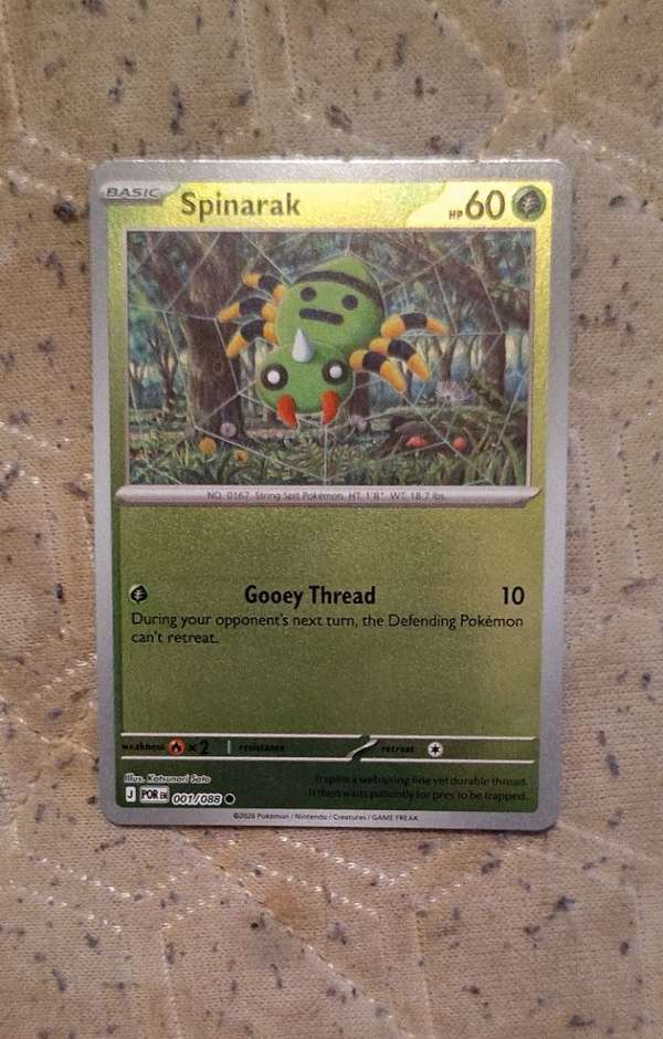 Spinarak