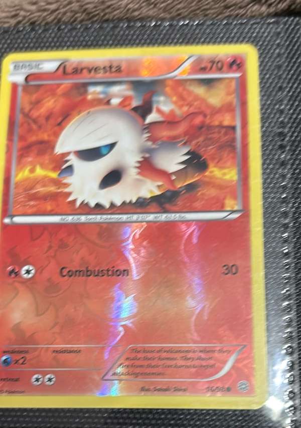 Larvesta