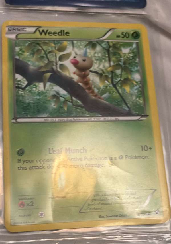 Weedle