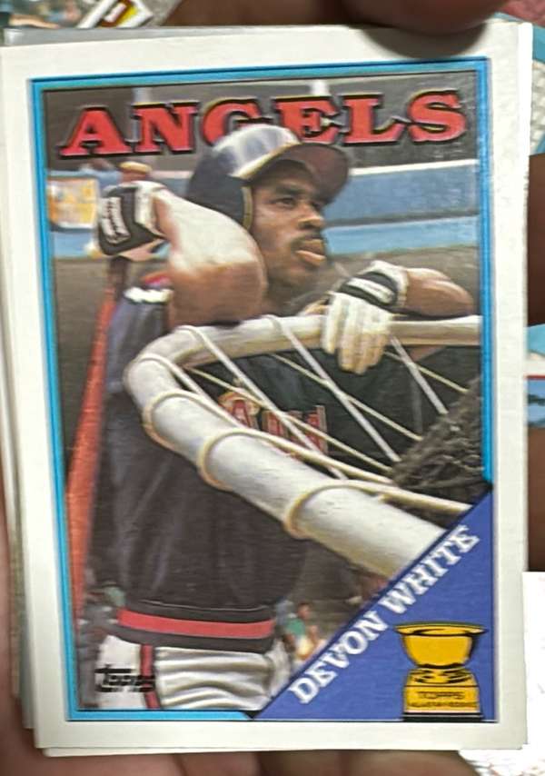 Devon White