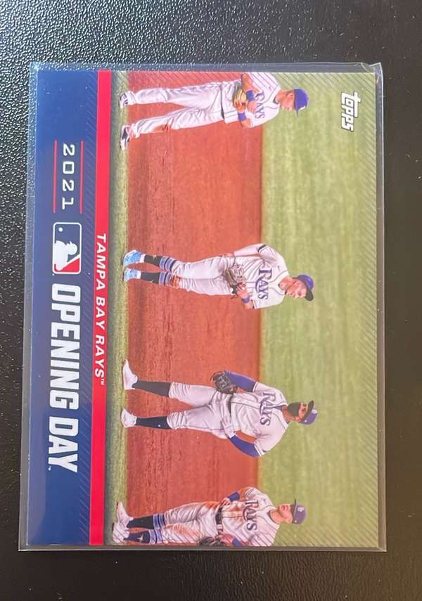 Tampa Bay Rays