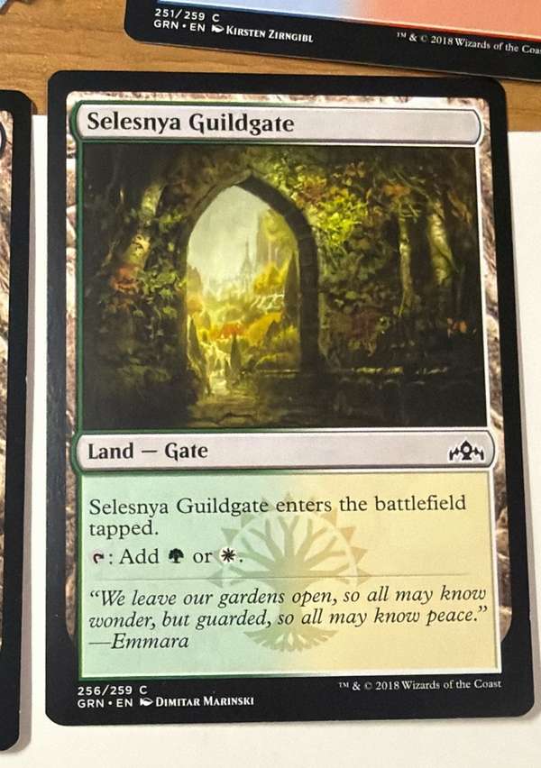Selesnya Guildgate (256)