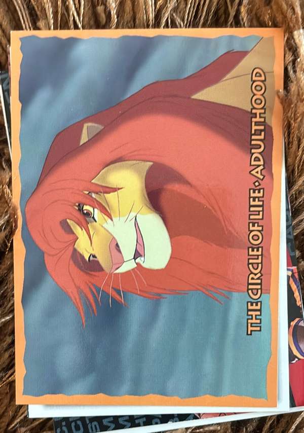 The Circle of Life - Adulthood