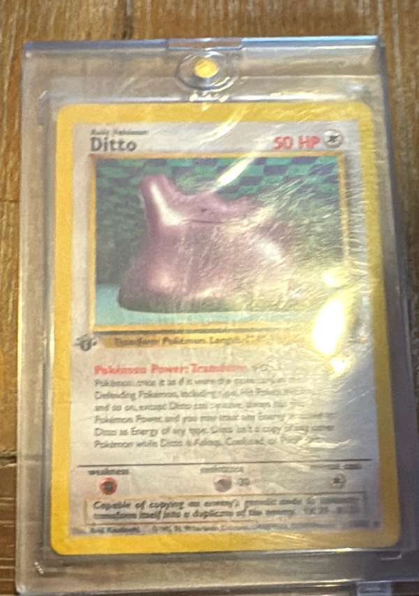 Ditto (18)