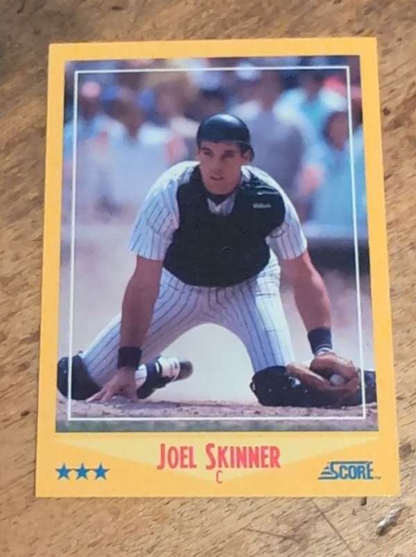 Joel Skinner