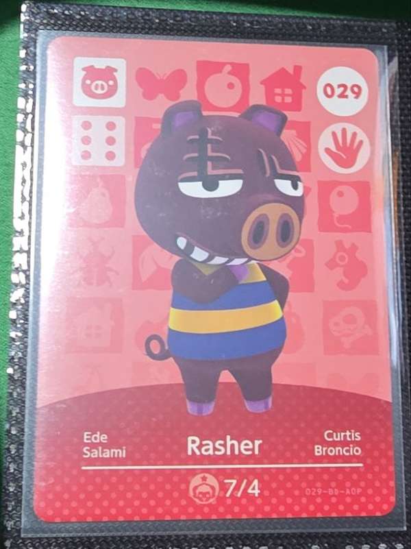 Rasher