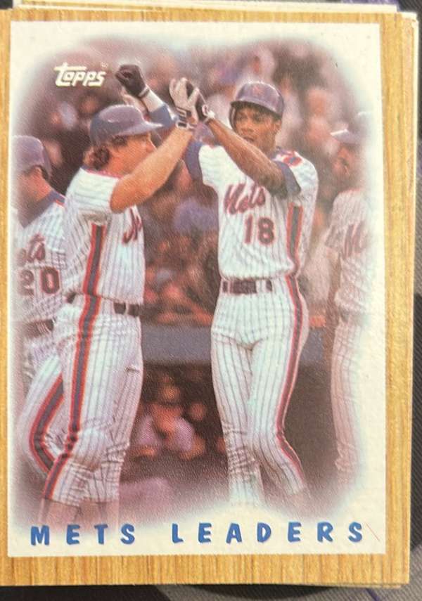 Mets Leaders