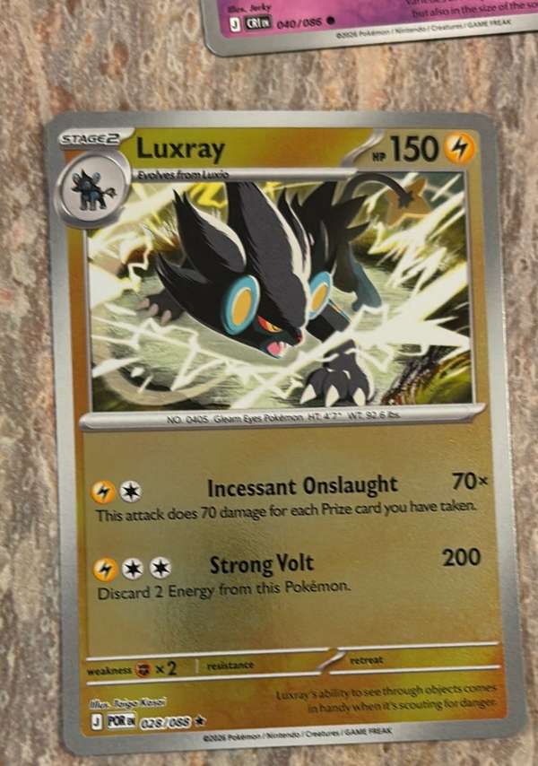 Luxray (Perfect Order Stamped)