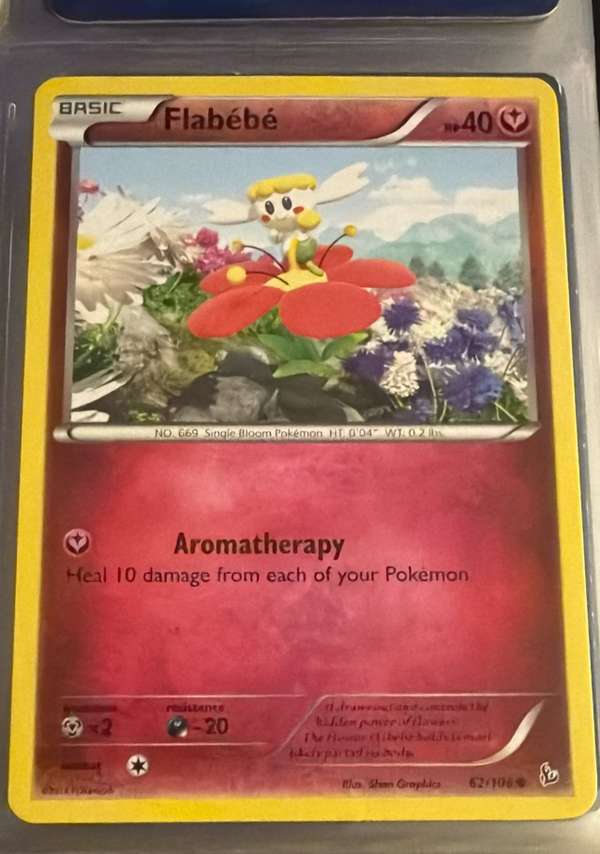 Flabebe (62)