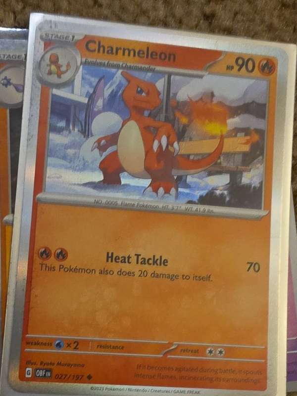 Charmeleon