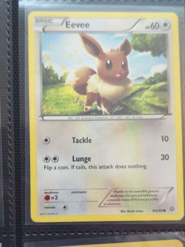 Eevee