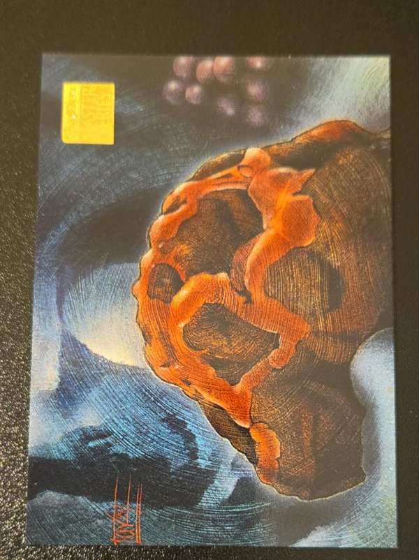 The Horta
