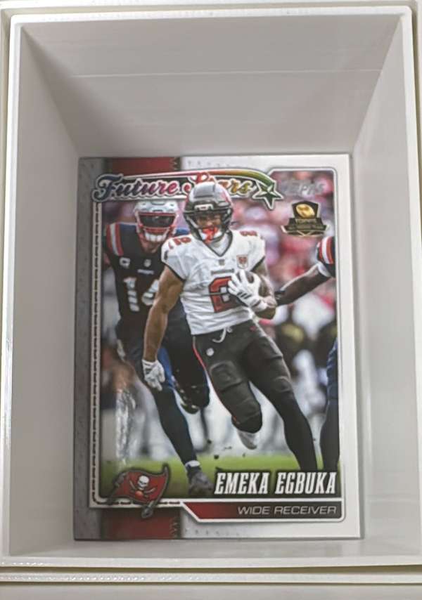 Emeka Egbuka