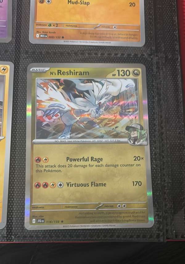N's Reshiram