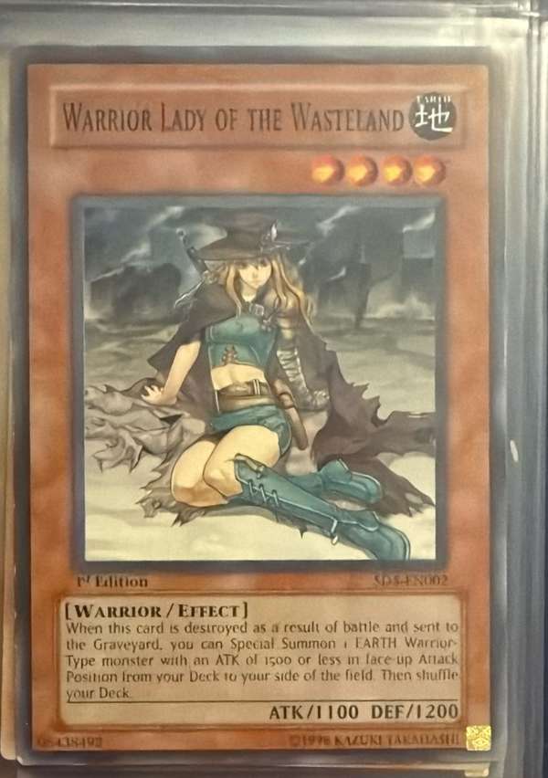 Warrior Lady of the Wasteland