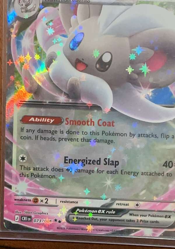 Cinccino ex