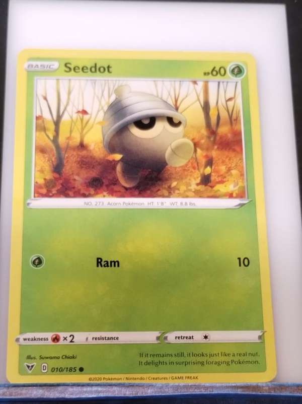 Seedot