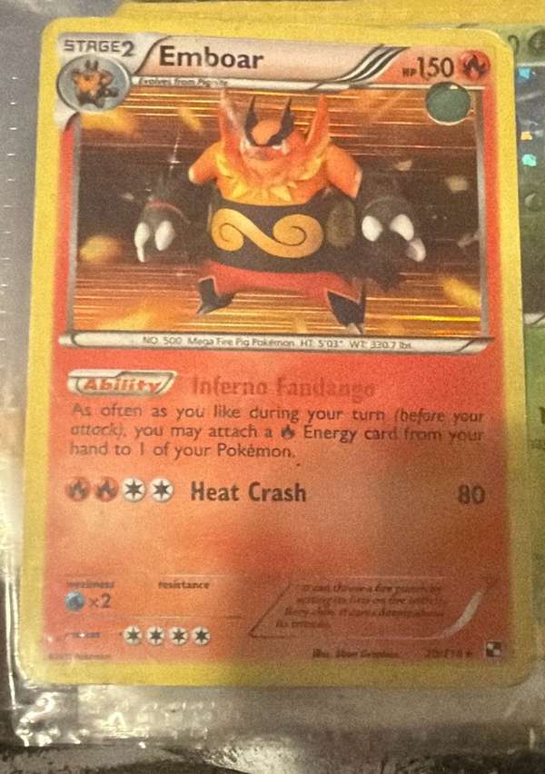 Emboar (20)