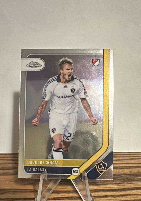 #173 David Beckham