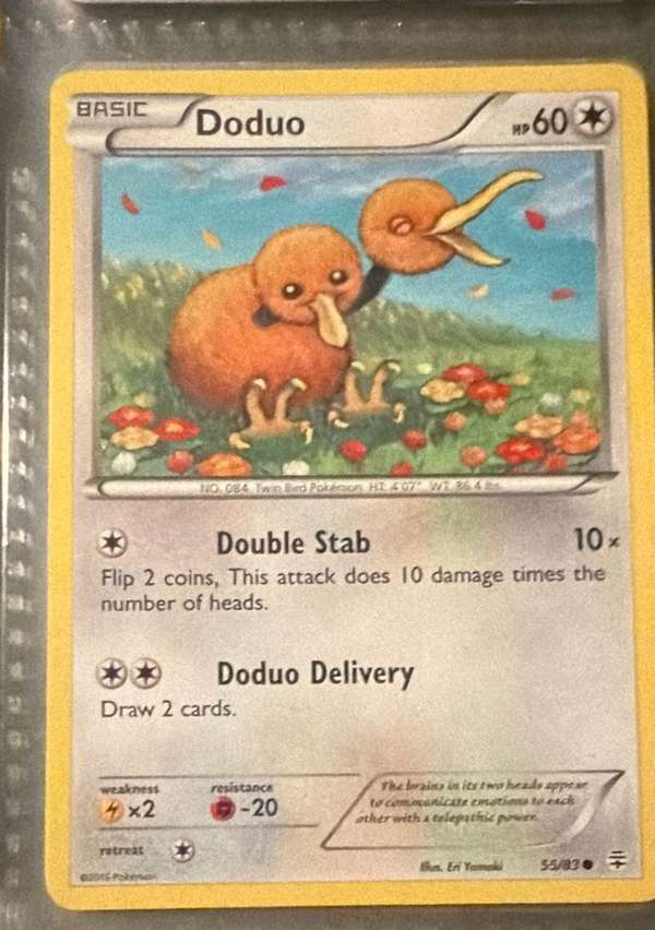 Doduo