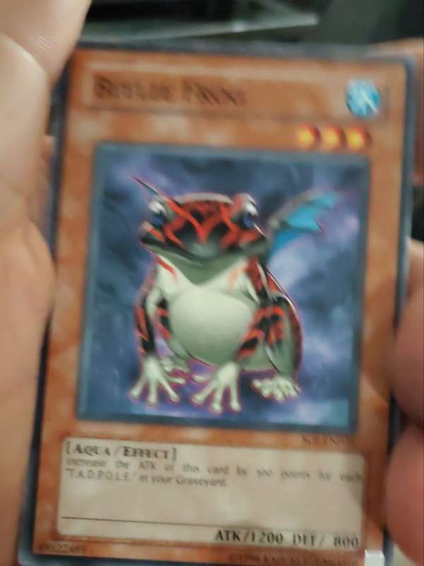 Beelze Frog