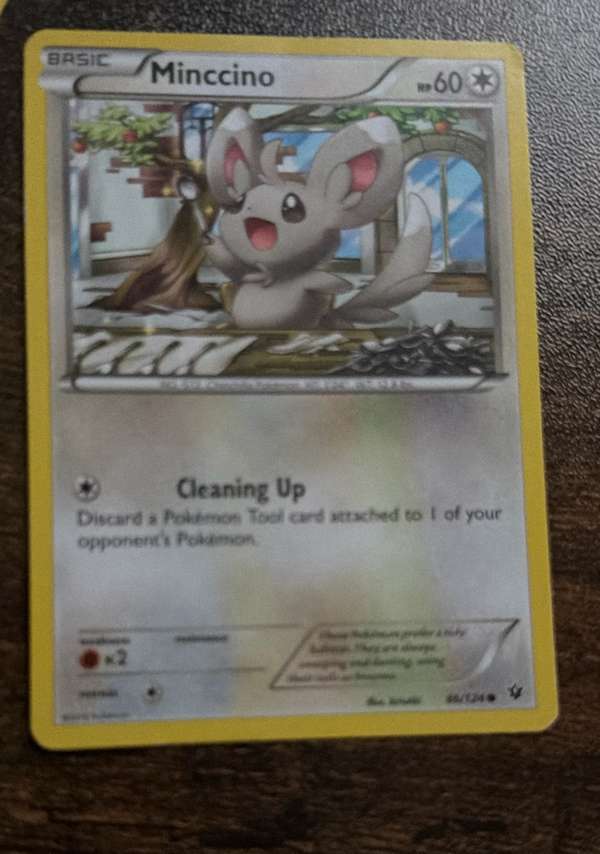 Minccino (86)