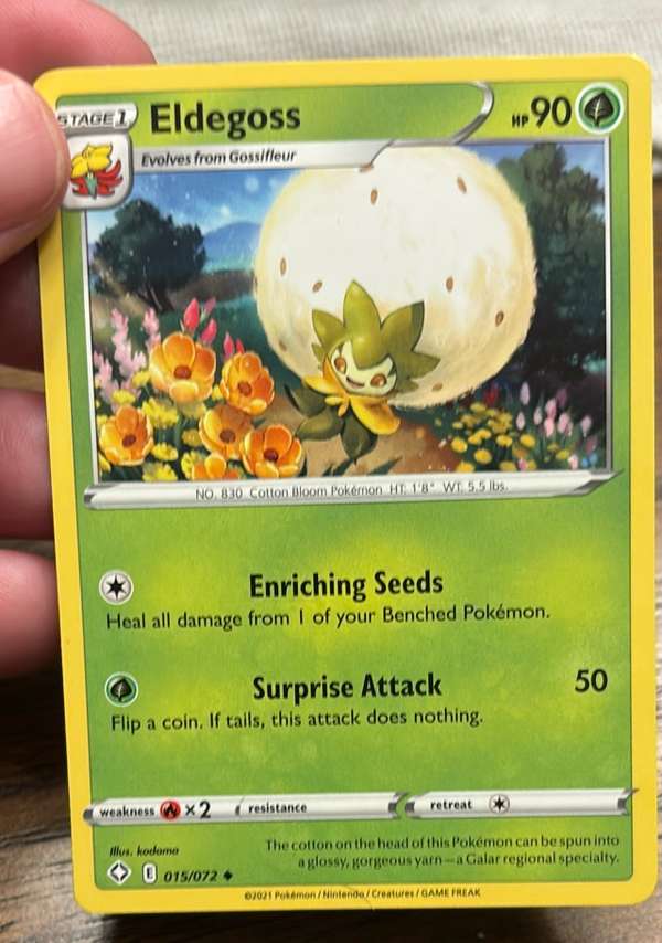 Eldegoss